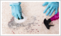 How do dirty carpets spread germs in my office? Request a carpet extraction today and live worryfree with Buildingstars Commercial Cleaning!